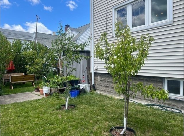 159 Willis Ave 1, Medford, MA 02115