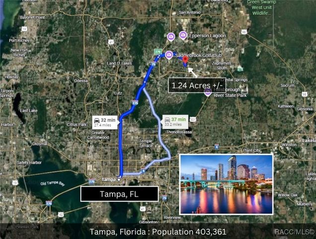 4001 Fox Ridge Boulevard, Wesley Chapel, FL 33543