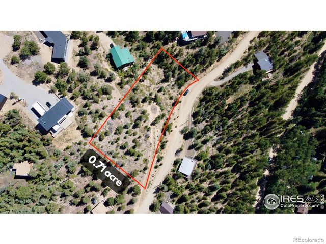 46 Pinecliff Trail, Nederland, CO 80466