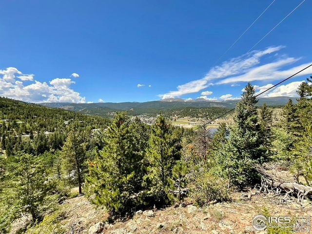 46 Pinecliff Trail, Nederland, CO 80466