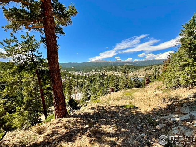 46 Pinecliff Trail, Nederland, CO 80466