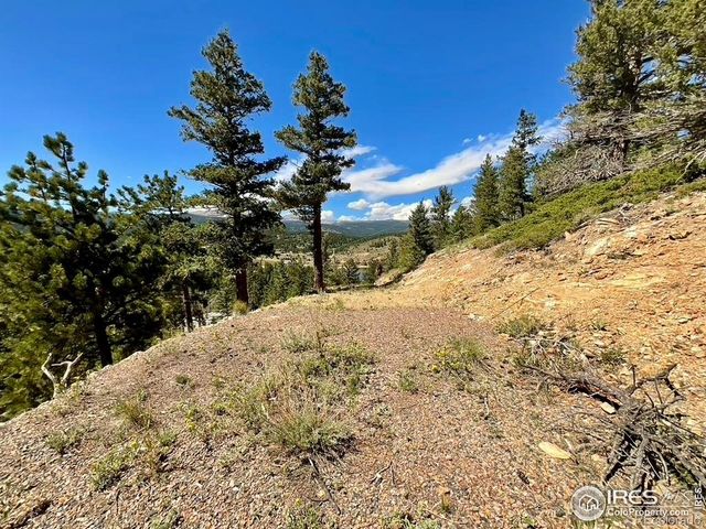 46 Pinecliff Trail, Nederland, CO 80466