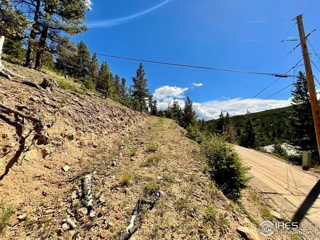 46 Pinecliff Trail, Nederland, CO 80466