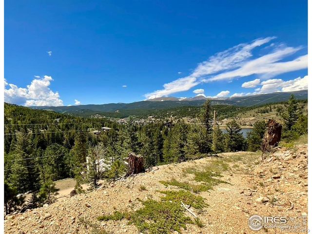 46 Pinecliff Trail, Nederland, CO 80466
