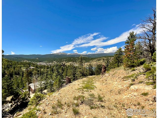 46 Pinecliff Trail, Nederland, CO 80466
