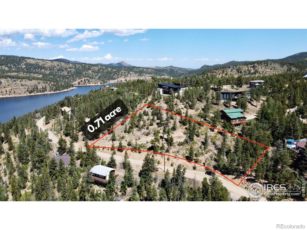 46 Pinecliff Trail, Nederland, CO 80466