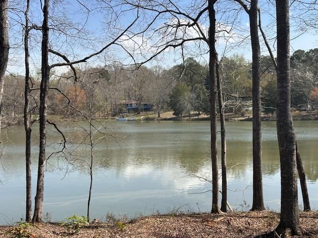 7524 Hedgestone Drive, Upatoi, GA 31829