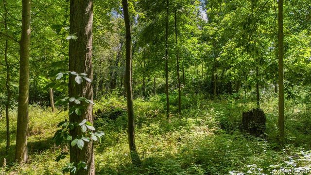 00001 Ledgewood Drive, Fenton, MI 48430