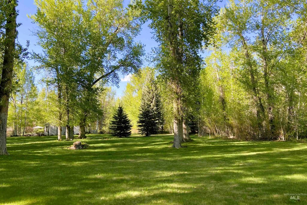 100 & 200 Trout Lane, Bellevue, ID 83313 photo 6