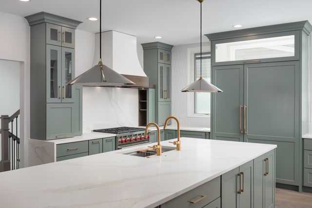 1321 N Webster Street, Naperville, IL 60563