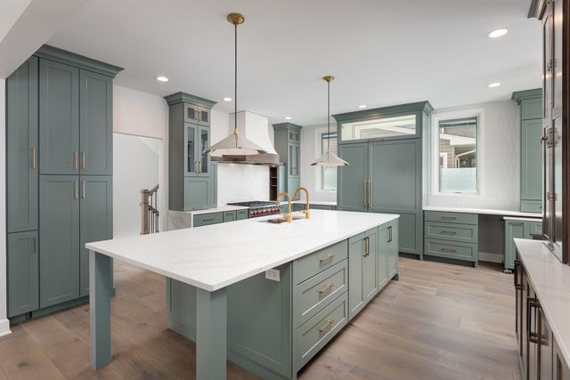1321 N Webster Street, Naperville, IL 60563