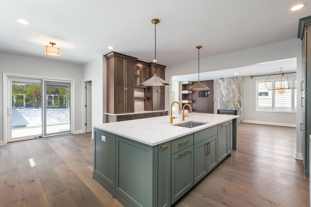1321 N Webster Street, Naperville, IL 60563