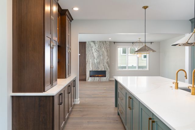 1321 N Webster Street, Naperville, IL 60563