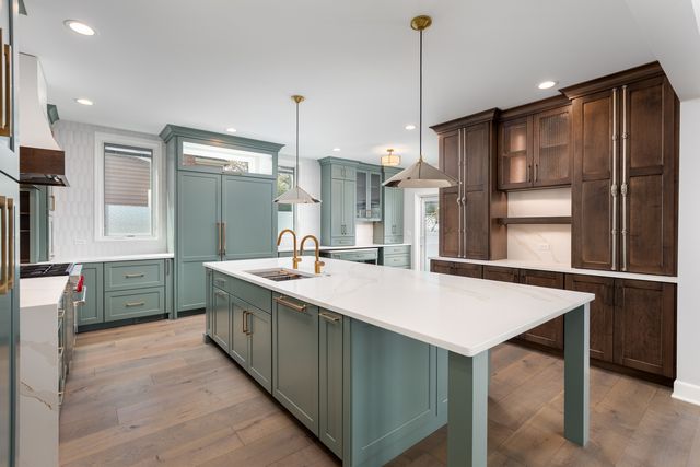 1321 N Webster Street, Naperville, IL 60563