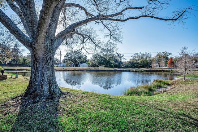 3200 MCMATH DRIVE, Palm Harbor, FL 34684