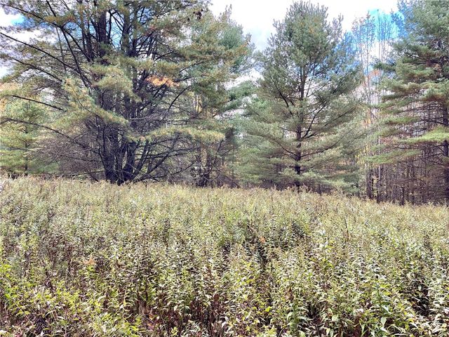 000 County Highway 3, Butternuts, NY 13843