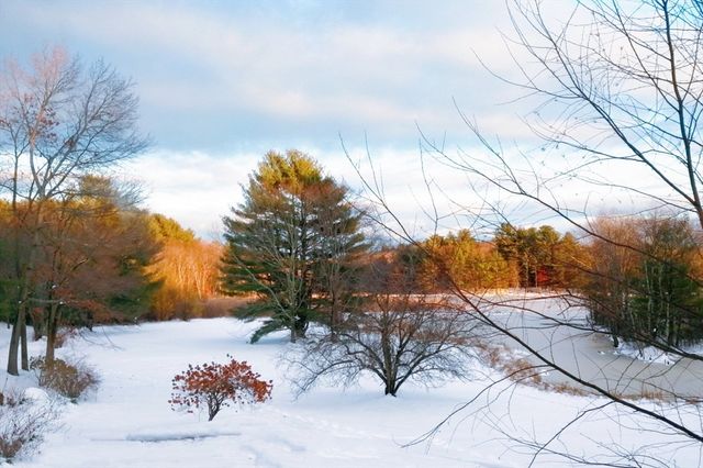 53 Cortland 53, Boxborough, MA 01719
