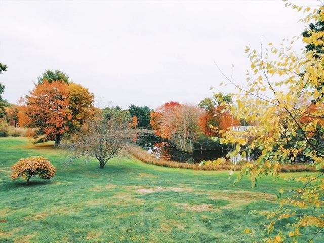 53 Cortland 53, Boxborough, MA 01719