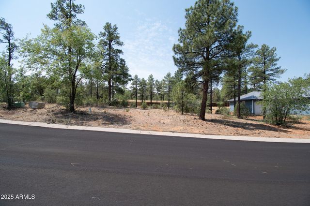 381 E HUCKLEBERRY Lane 4, Show Low, AZ 85901
