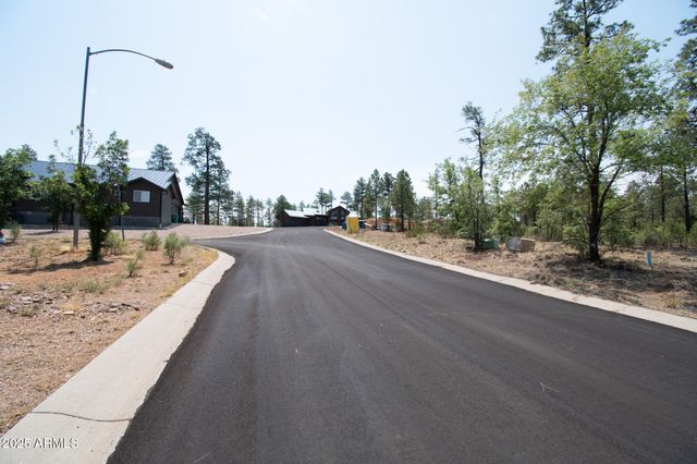 381 E HUCKLEBERRY Lane 4, Show Low, AZ 85901