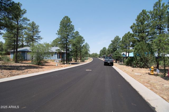 381 E HUCKLEBERRY Lane 4, Show Low, AZ 85901