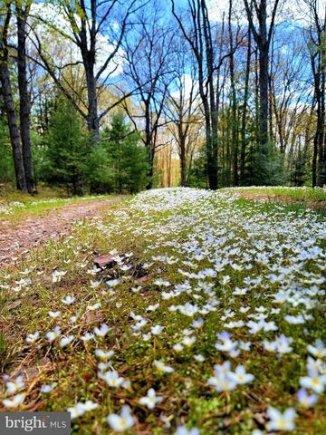614 GRAYSTONES JERAS RD LOT P-8, Albrightsville, PA 18210