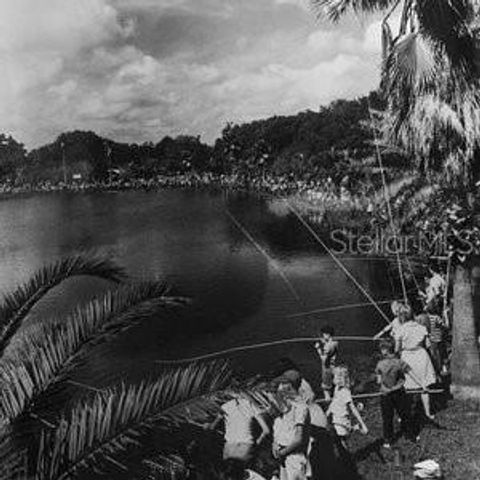 5605 N 9TH STREET, Tampa, FL 33604