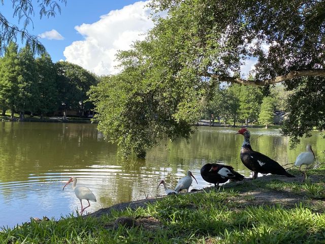 5605 N 9TH STREET, Tampa, FL 33604