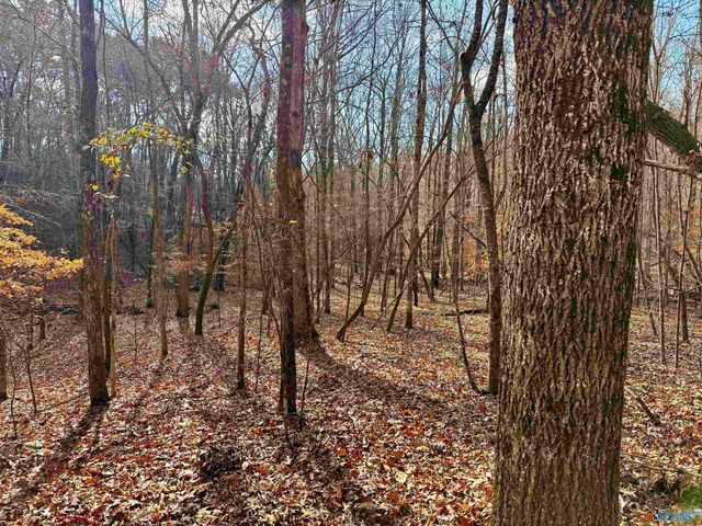 3 County Road 137 504549, Cedar Bluff, AL 35959