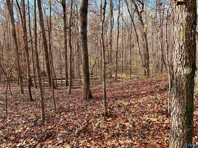 3 County Road 137 504549, Cedar Bluff, AL 35959