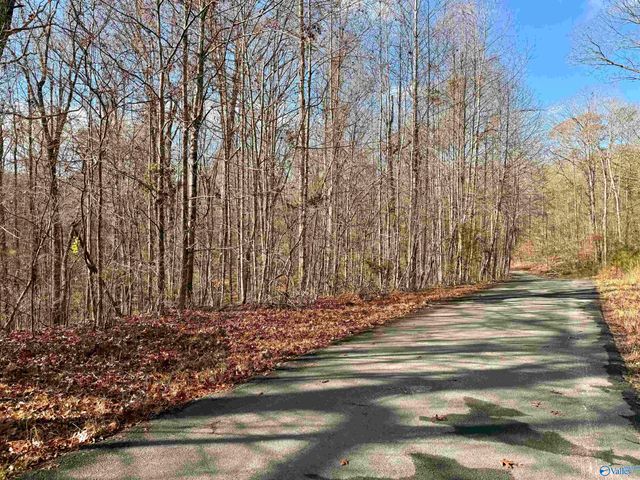 3 County Road 137 504549, Cedar Bluff, AL 35959