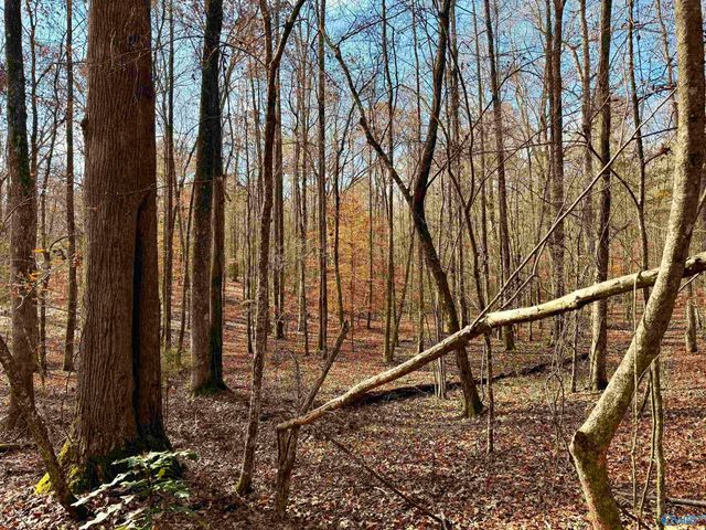 3 County Road 137 504549, Cedar Bluff, AL 35959