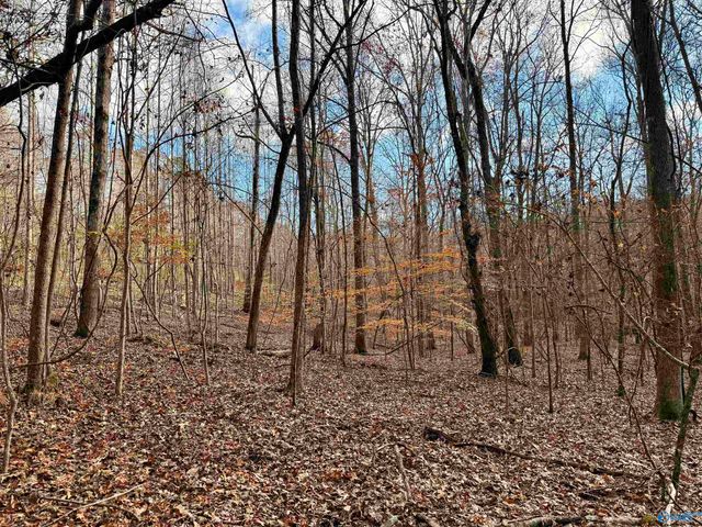 3 County Road 137 504549, Cedar Bluff, AL 35959