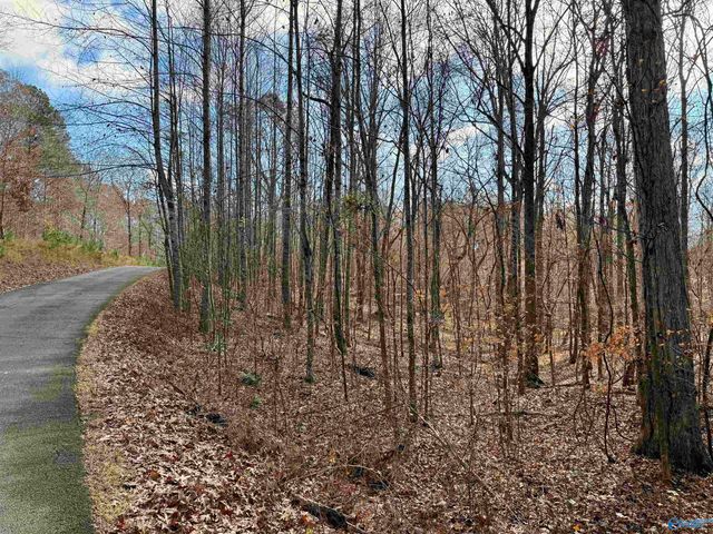 3 County Road 137 504549, Cedar Bluff, AL 35959