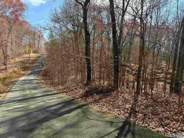 3 County Road 137 504549, Cedar Bluff, AL 35959