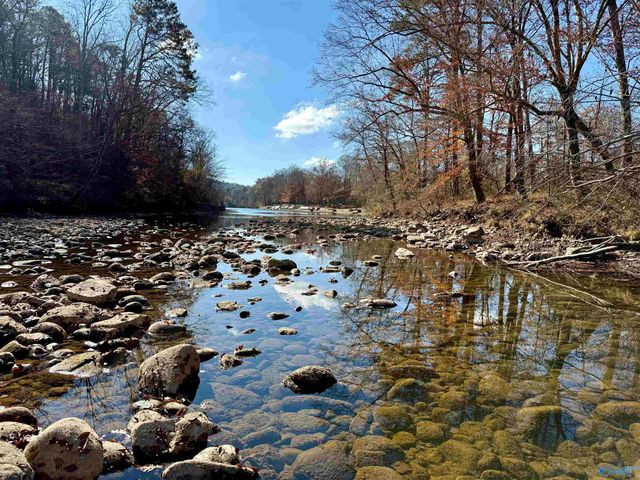 3 County Road 137 504549, Cedar Bluff, AL 35959