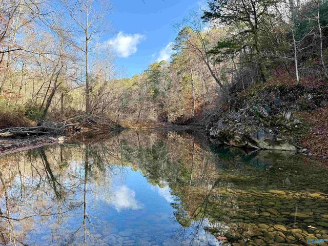 3 County Road 137 504549, Cedar Bluff, AL 35959