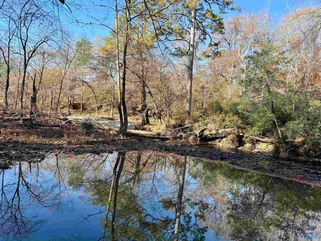 3 County Road 137 504549, Cedar Bluff, AL 35959