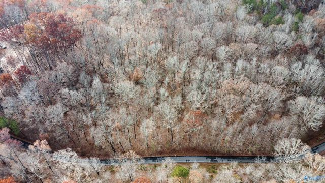 3 County Road 137 504549, Cedar Bluff, AL 35959