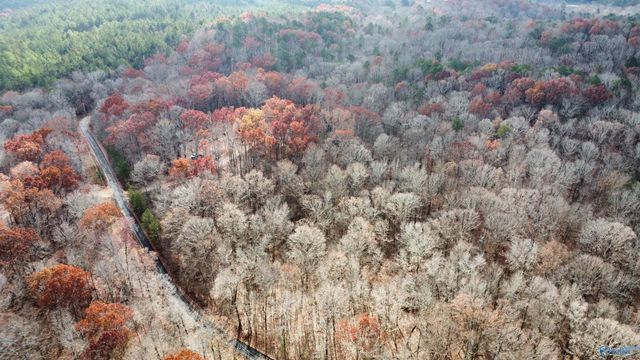 3 County Road 137 504549, Cedar Bluff, AL 35959