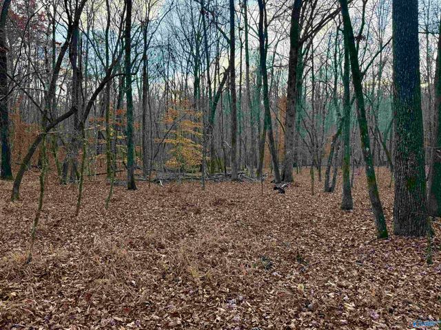 3 County Road 137 504549, Cedar Bluff, AL 35959