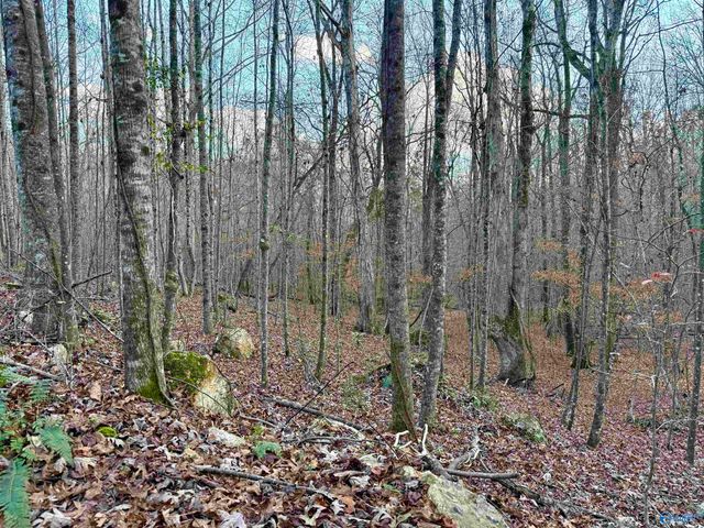 3 County Road 137 504549, Cedar Bluff, AL 35959