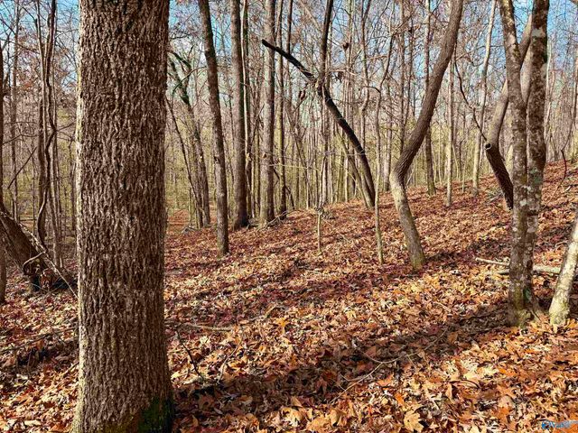 3 County Road 137 504549, Cedar Bluff, AL 35959