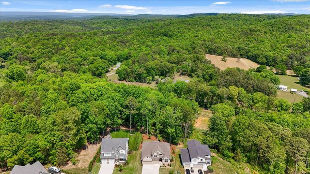 5962 Cashmere Lane, Harrison, TN 37341