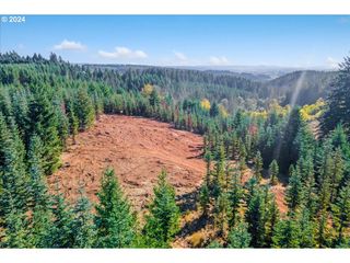 Nw Lodge Rd, Banks, OR 97106