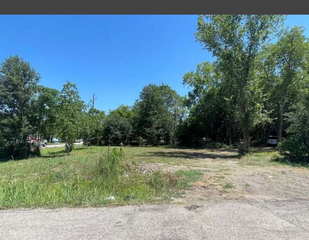 10133 Dobie Street, Houston, TX 77033