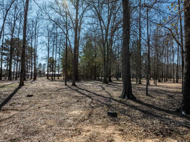 5670 Nathan Drive, Chandler, TX 75758