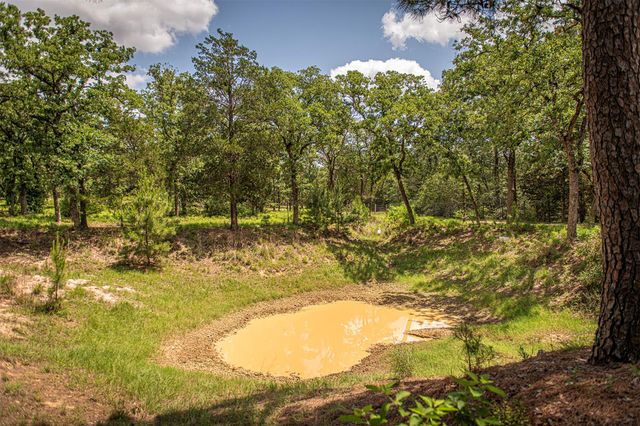 914 Sand Hills RD, Red Rock, TX 78662