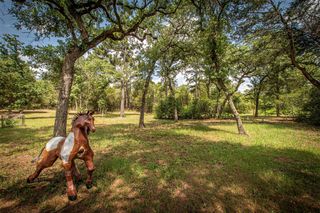914 Sand Hills RD, Red Rock, TX 78662