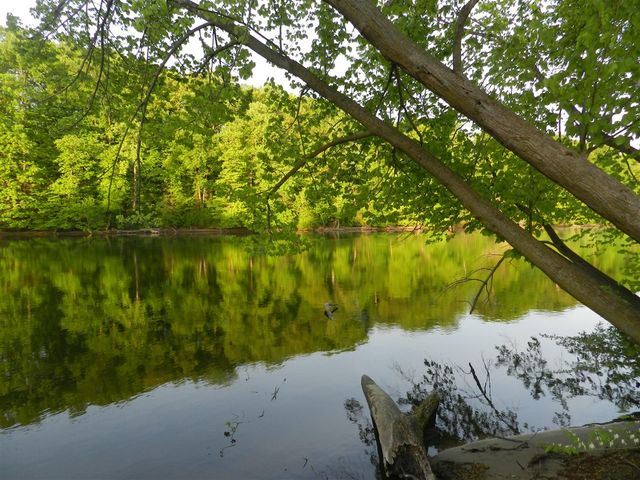 558 Swan River Drive, Benton Harbor, MI 49022